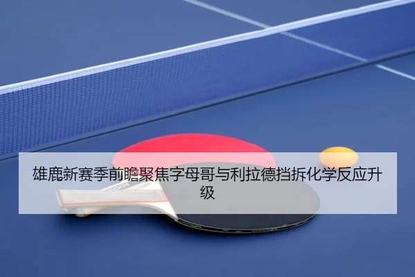 雄鹿新赛季前瞻聚焦字母哥与利拉德挡拆化学反应升级 - kaiyun